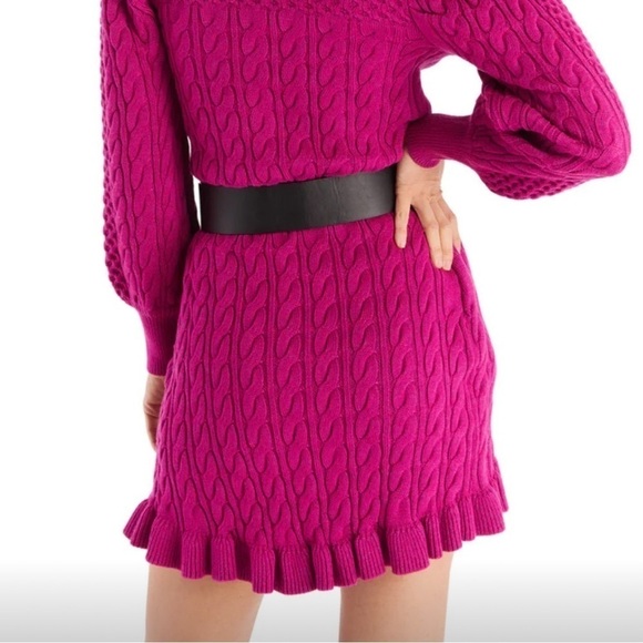 NWT Allison Sloan Mini Skirt Raspberry Cable Knit Ruffle Hem - Picture 2 of 6